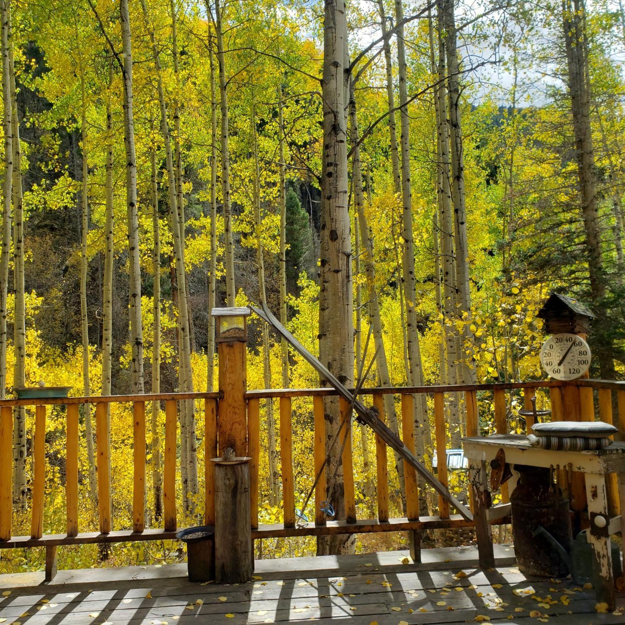 Cabin By The Creek With High Speed Wifi Red River Exterior foto
